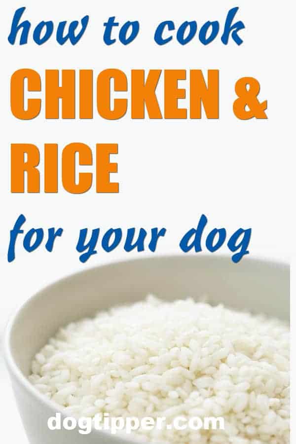 is boiled chicken and rice good for dogs
