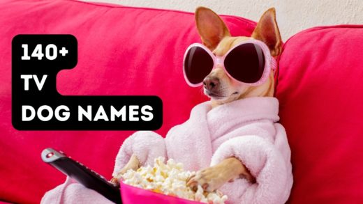 140-tv-dog-names-from-your-favorite-shows