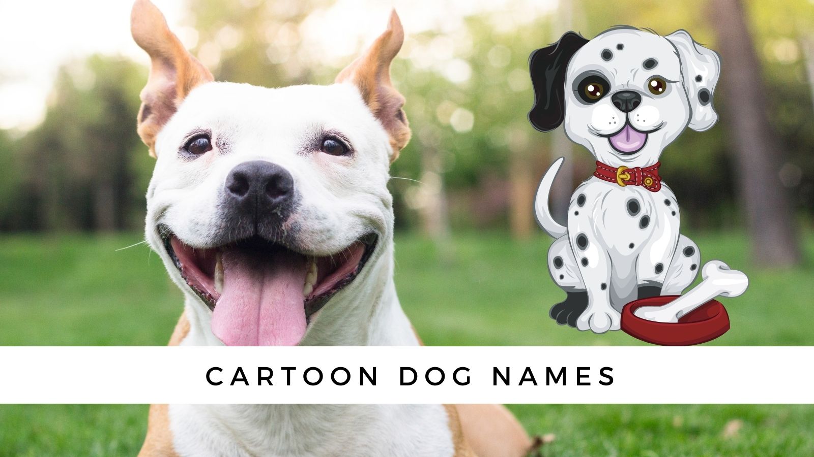 Cartoon Dog Names: 140 Names for Your Real-Life Dog!