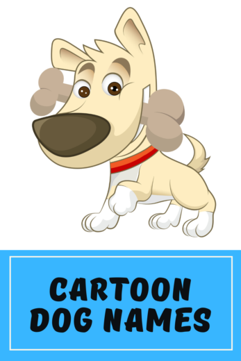 Cartoon Dog Names: 140 Names for Your Real-Life Dog!