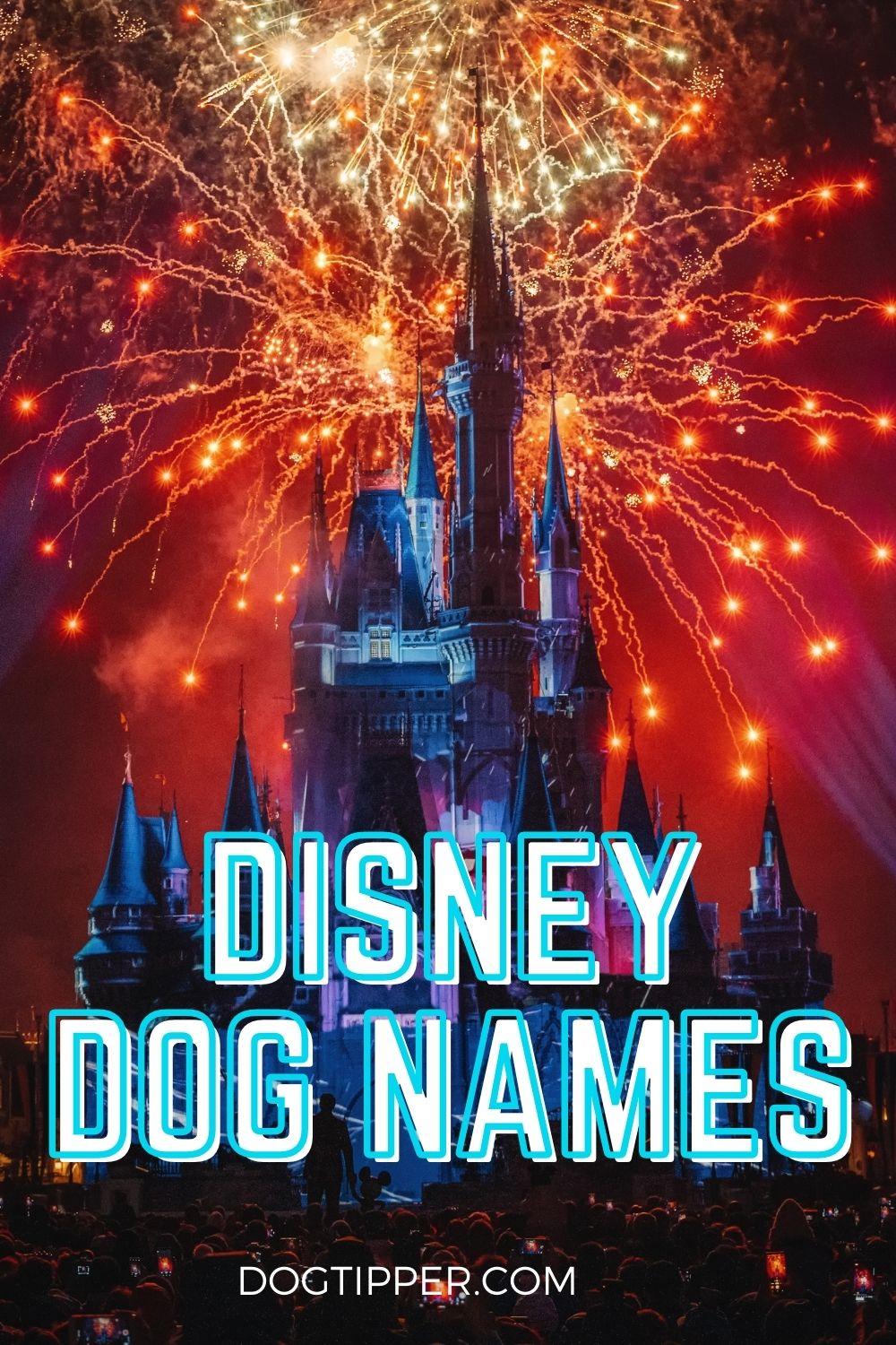 184 Best Disney Dog Names for Your Sweet Pup [2023]