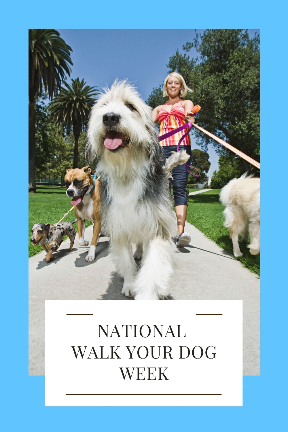 National Walk Your Dog Week Pets For Children