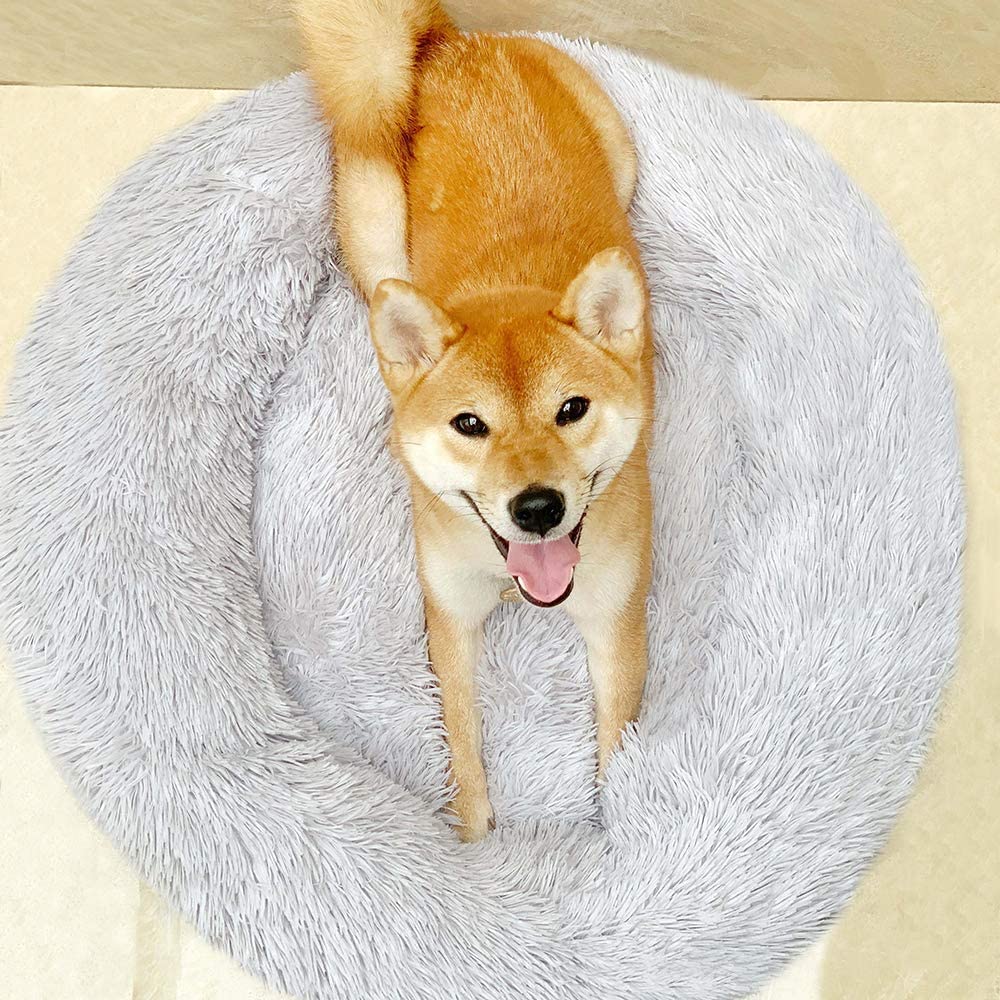 {Ended} Win a Donut Dog Bed! #Giveaway