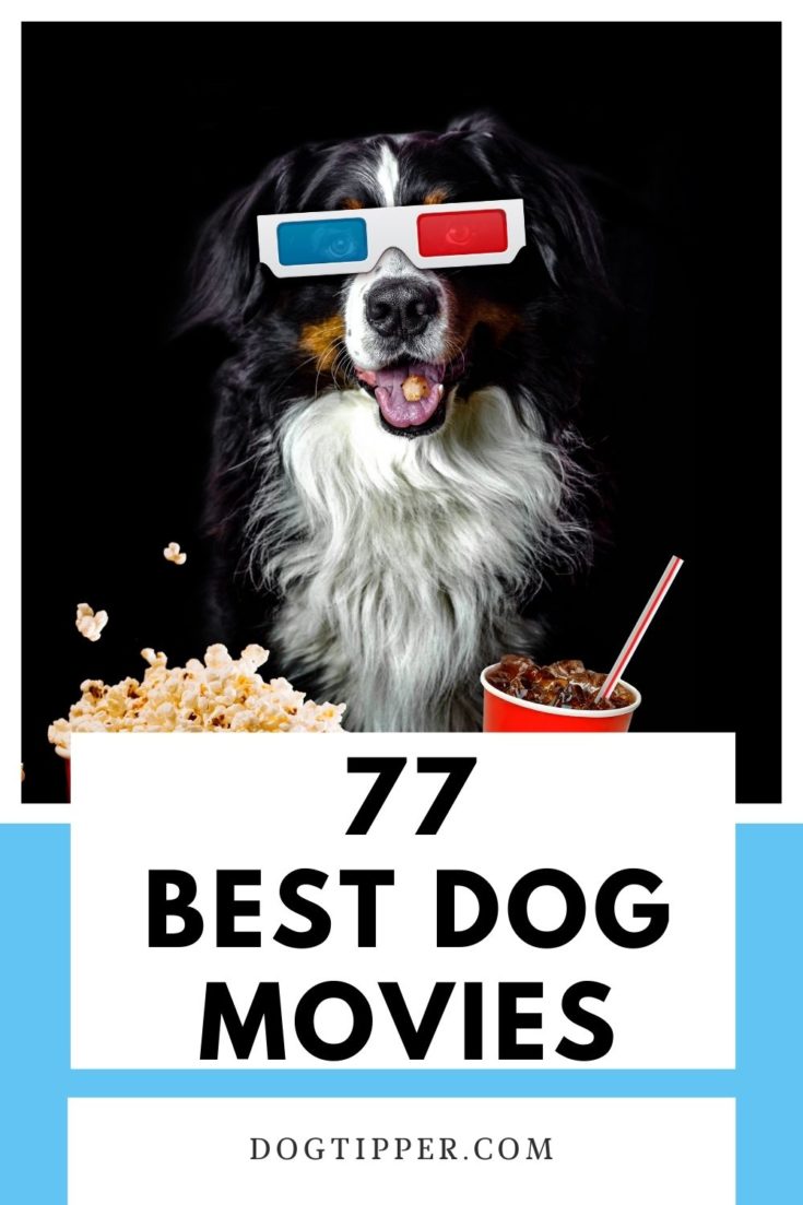 77 Best Dog Movies to Make You Laugh or Cry!