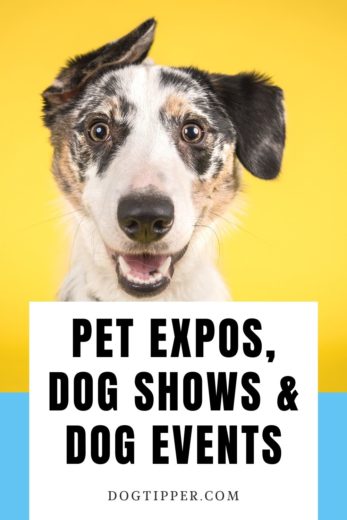 2024-pet-expos-dog-shows-dog-events