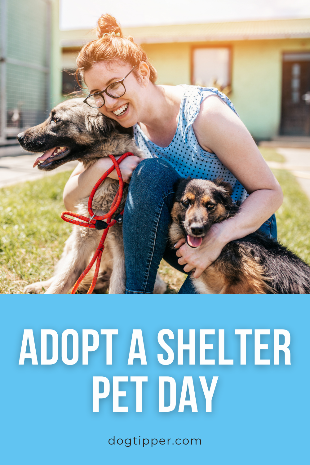 National Adopt A Shelter Pet Day (and what you need to do!)