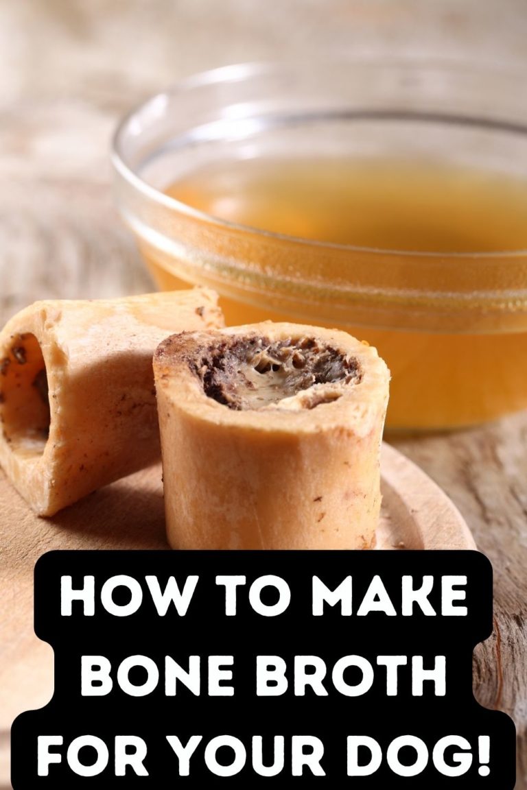 how-to-make-bone-broth-for-dogs-for-pennies-a-serving