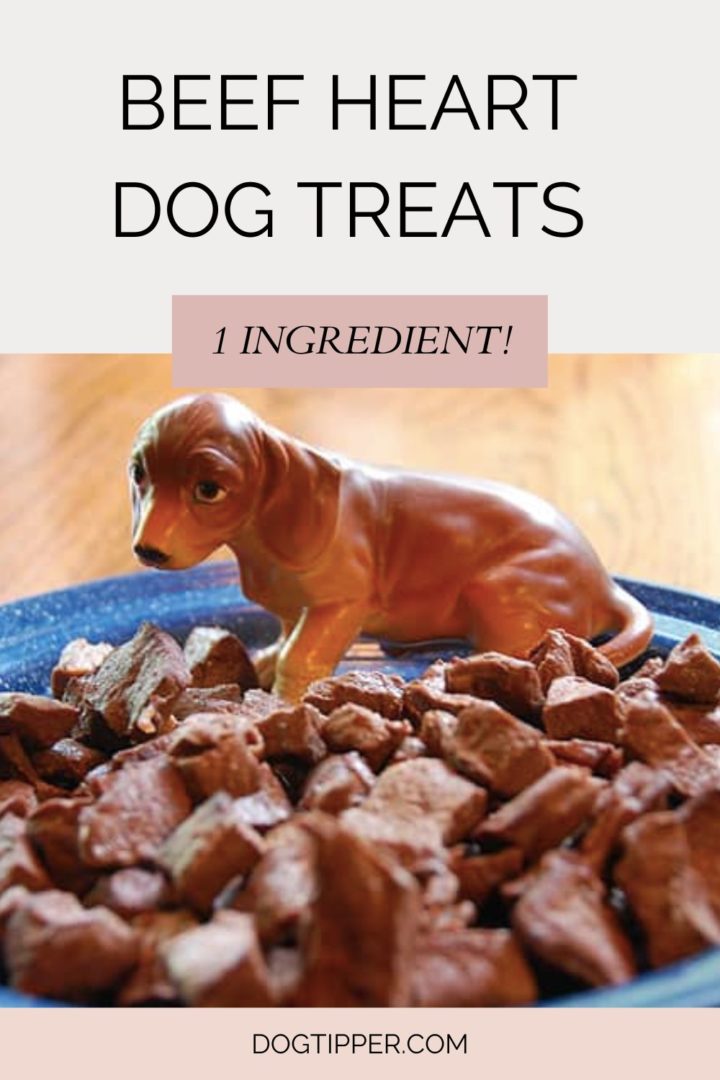 Beef Heart Dog Treats Easy Recipe that Your Dog Will Love