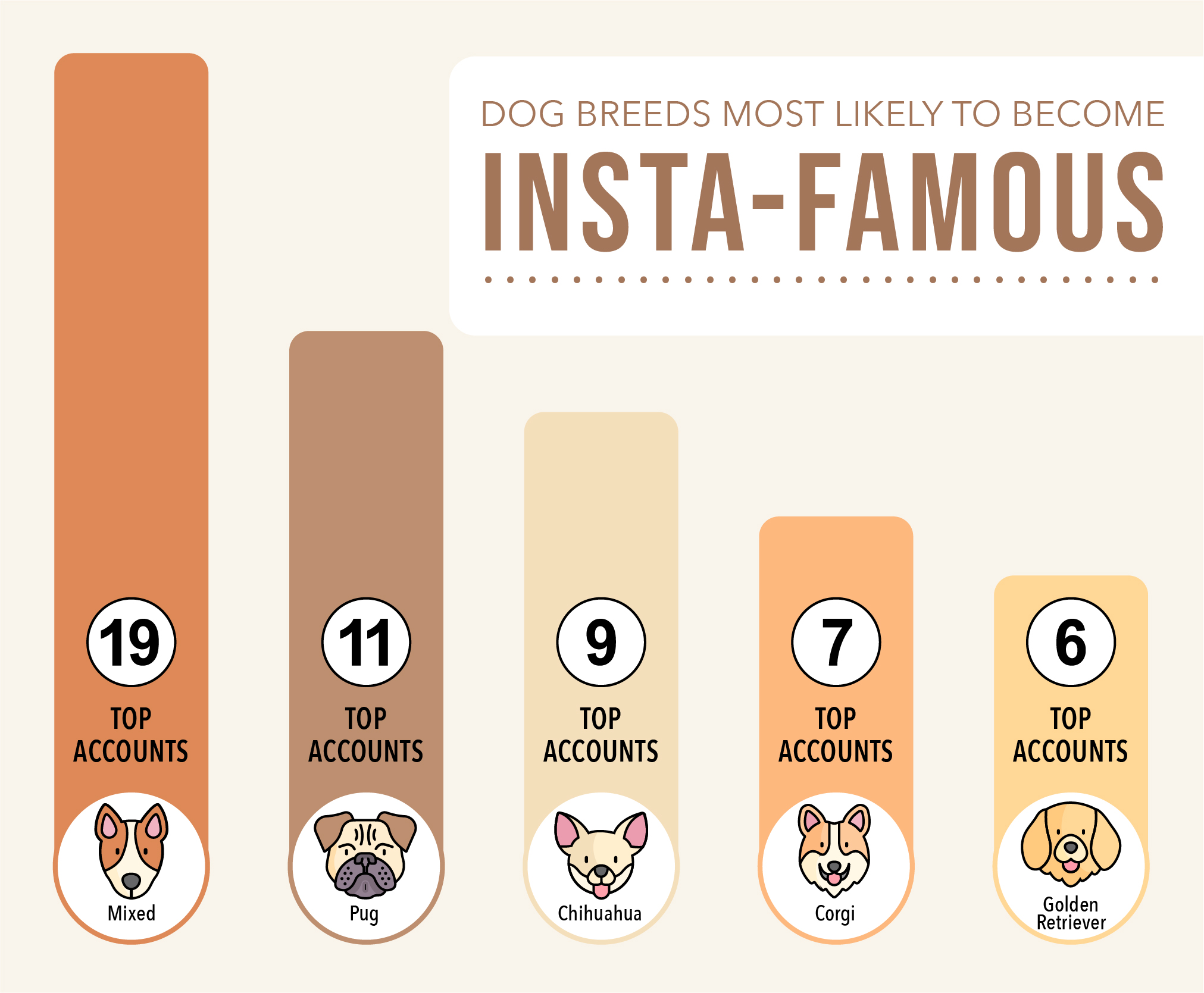 Pet Influencers Who's Top Dogand Should Your Dog Join In the Fun?