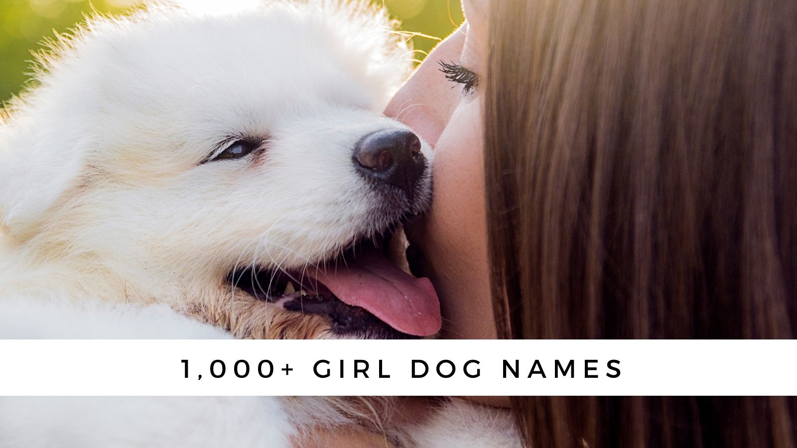 1000+ Girl Dog Names and Meanings for Your Fur Baby