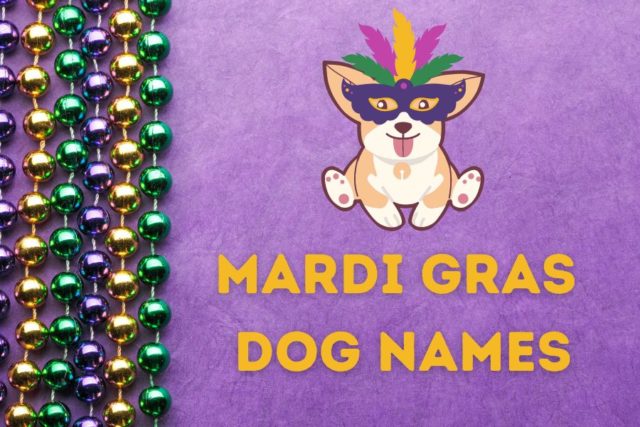 mardi gras costumes names