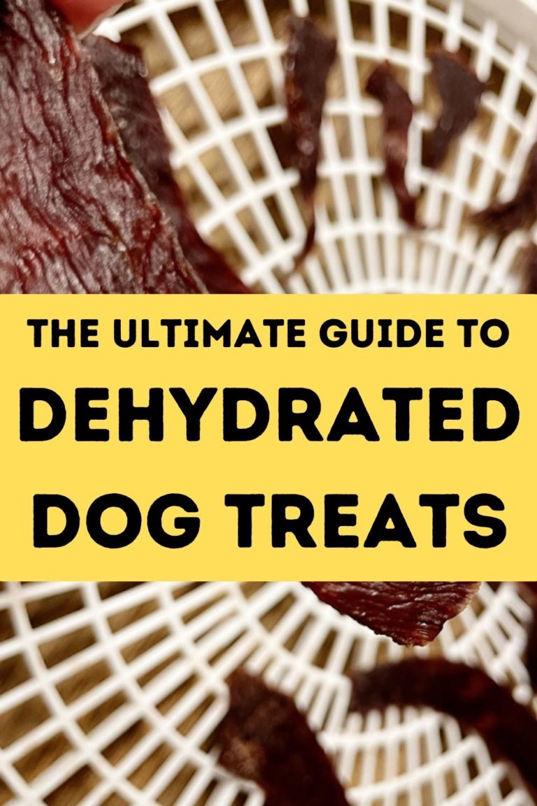 dehydrated-dog-treats-your-ultimate-guide-to-making-treats-and-chews