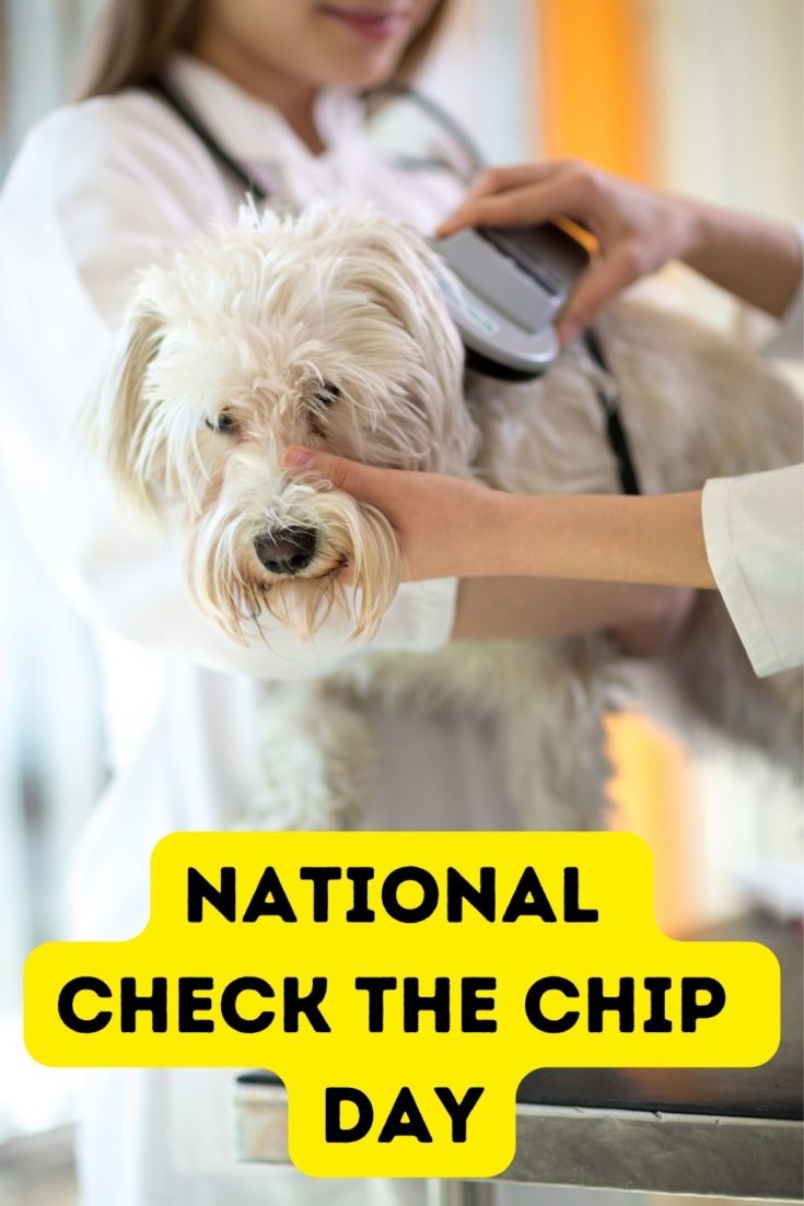 National Check the Chip Day What You Need to Do!