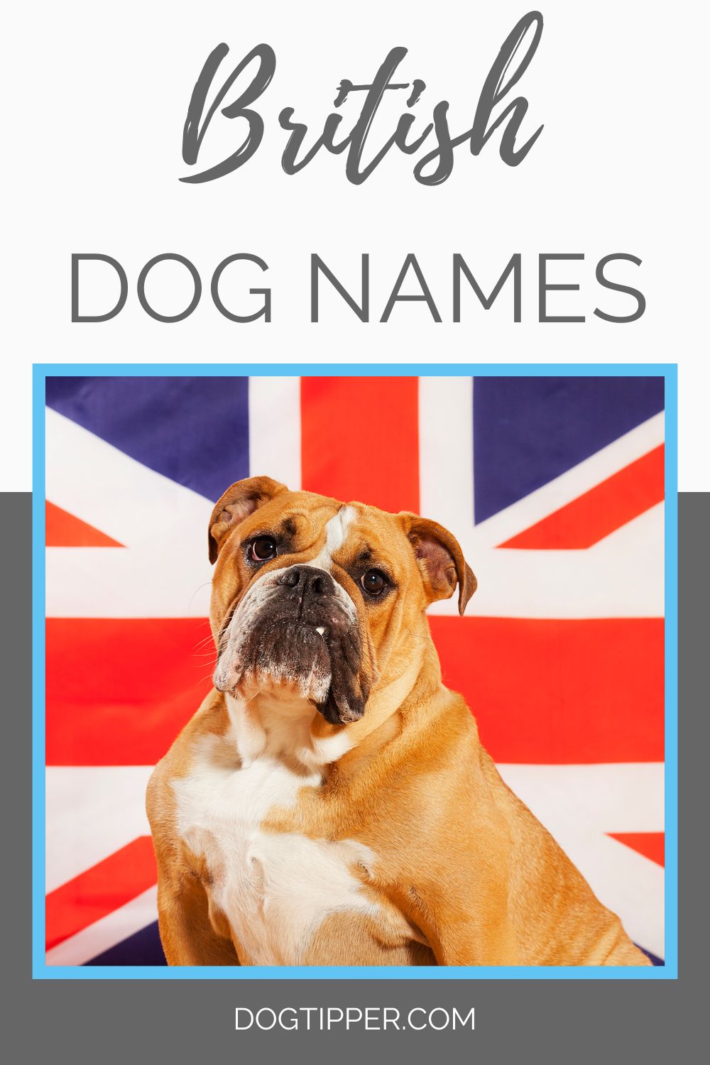 400-british-dog-names