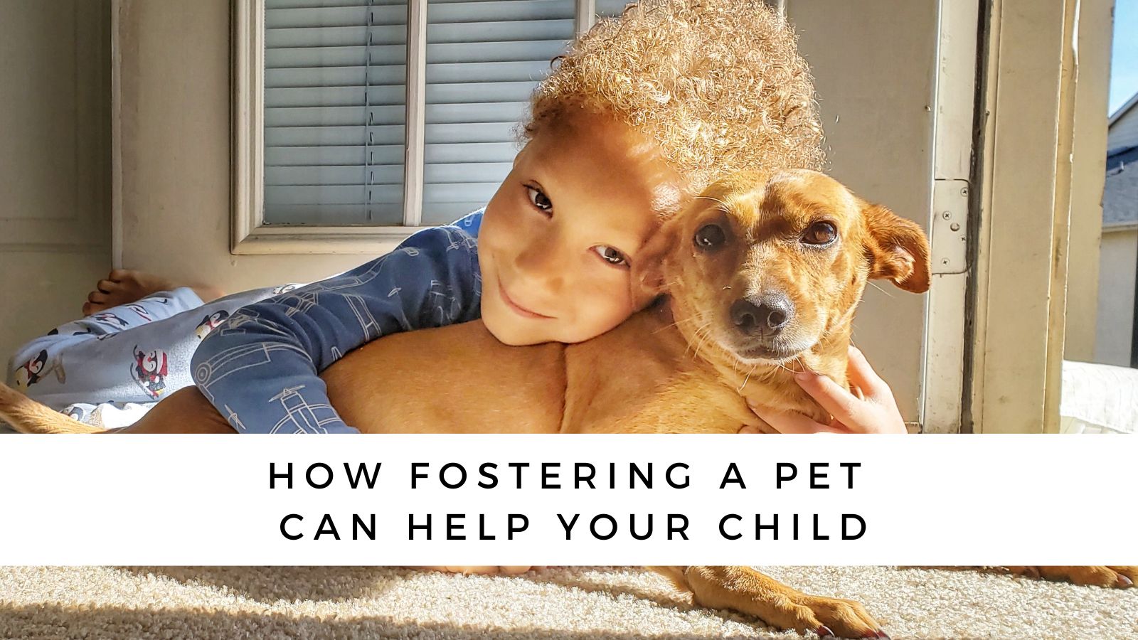 National Foster A Pet Month: How Fostering A Pet Can Help Your Child