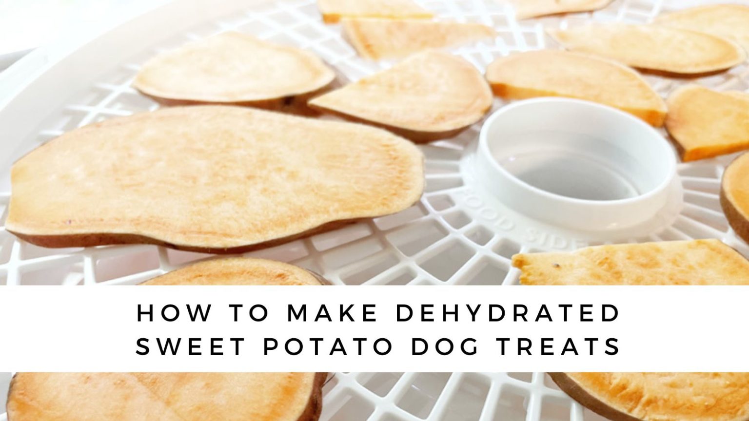 How to Make Dehydrated Sweet Potato Dog Treats Dehydrator + Oven Recipes!