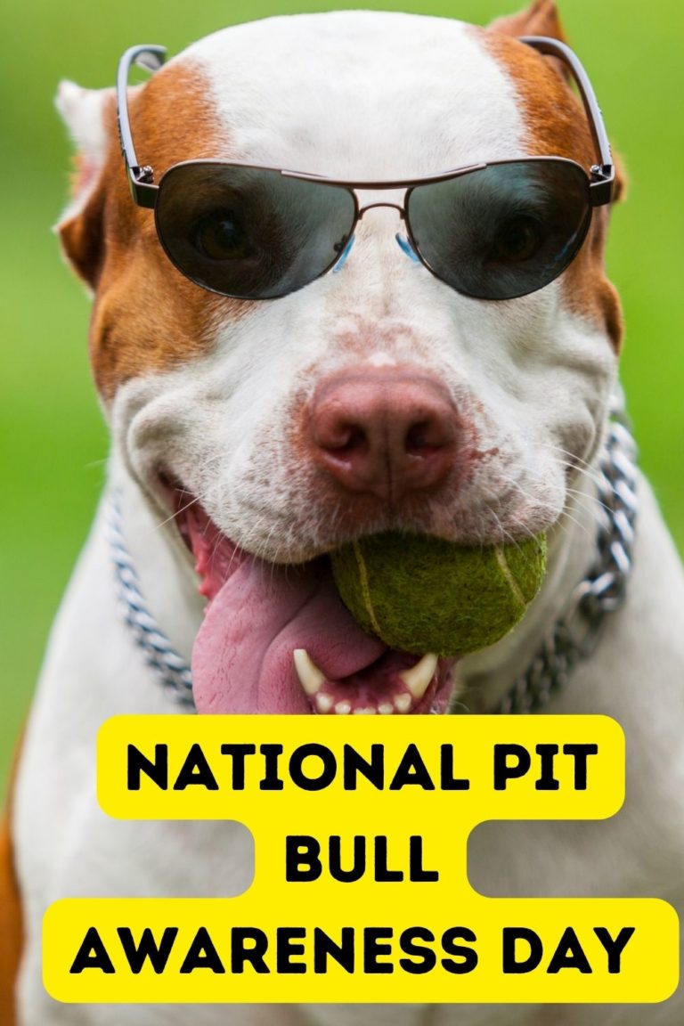 National Pit Bull Awareness Day