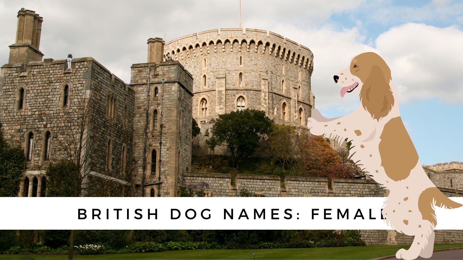 400 British Dog Names   British Dog Names Female 