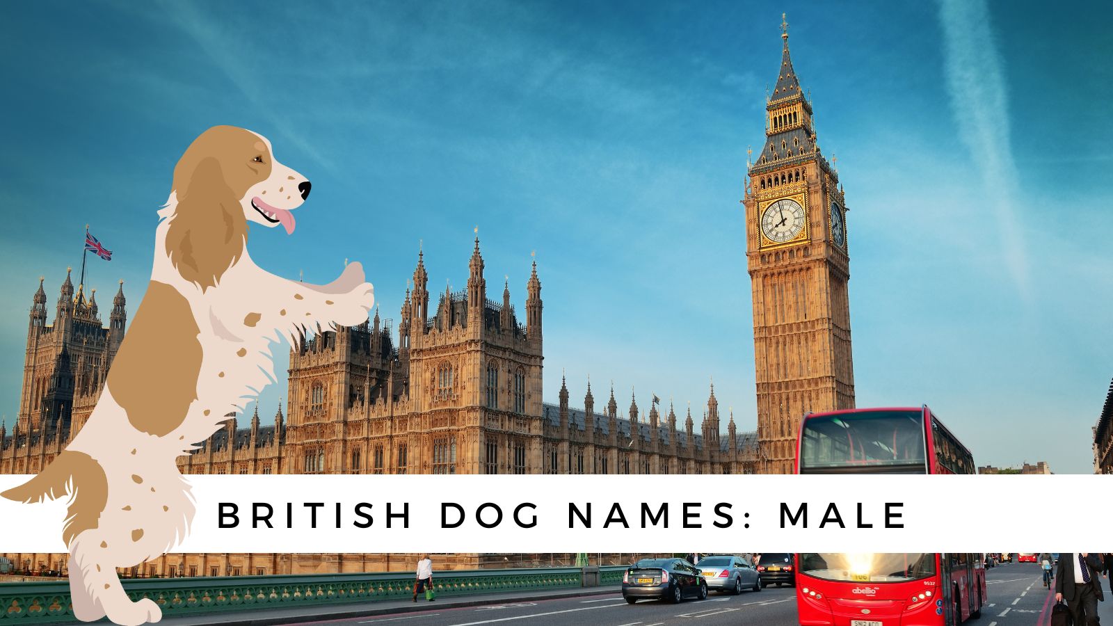 British Dog Names Male