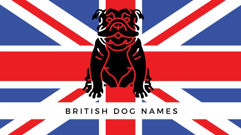 400-british-dog-names