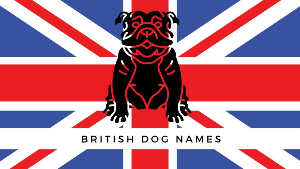 400 British Dog Names   British Dogs 960x540 