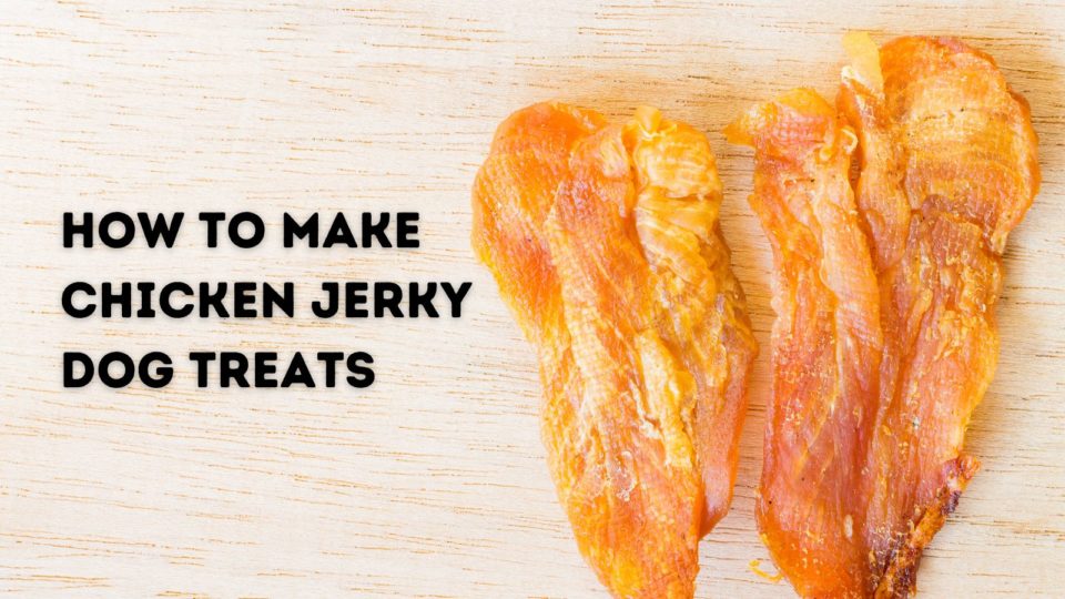 How to Make Chicken Jerky for Dogs {in your oven!}