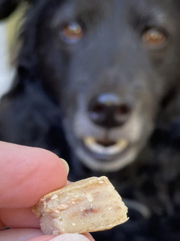 Tuna fudge 2025 dog treat recipe