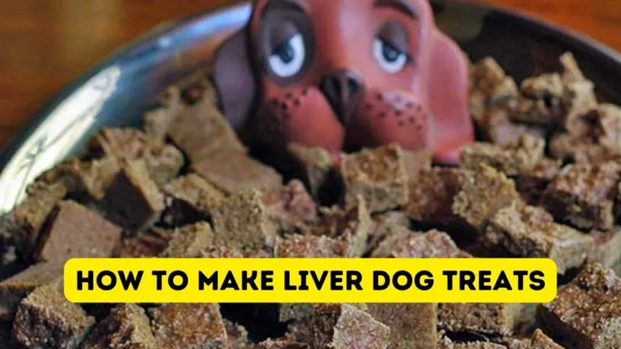 Homemade chicken outlet liver dog treats