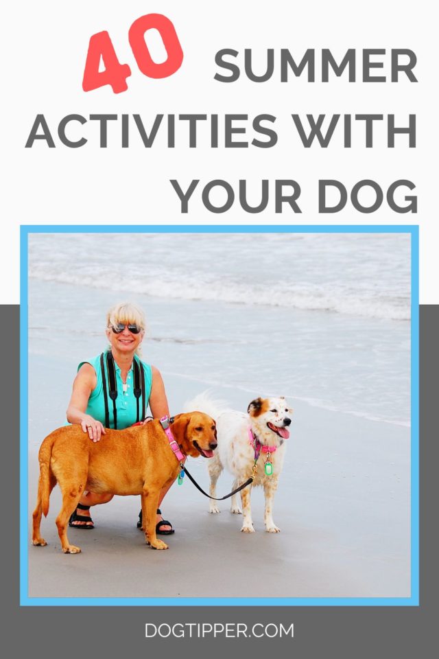 40 Fun Summer Activities for Dogs!