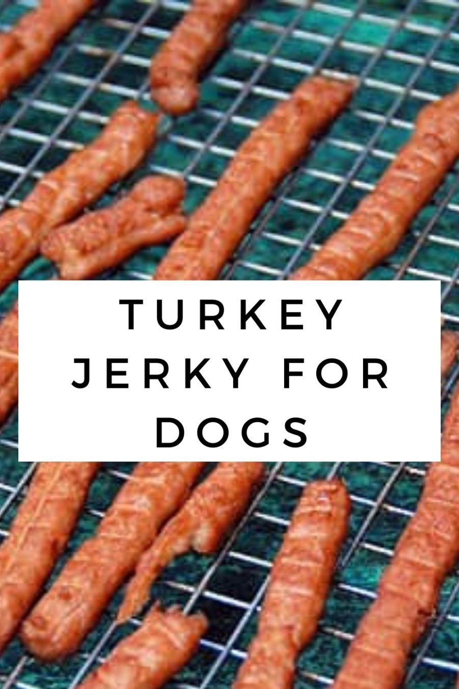 Turkey jerky shop for dogs