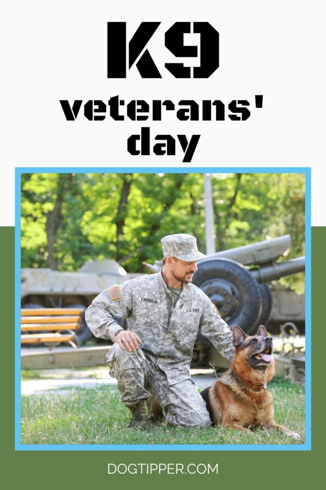 Veterans day festivities near me