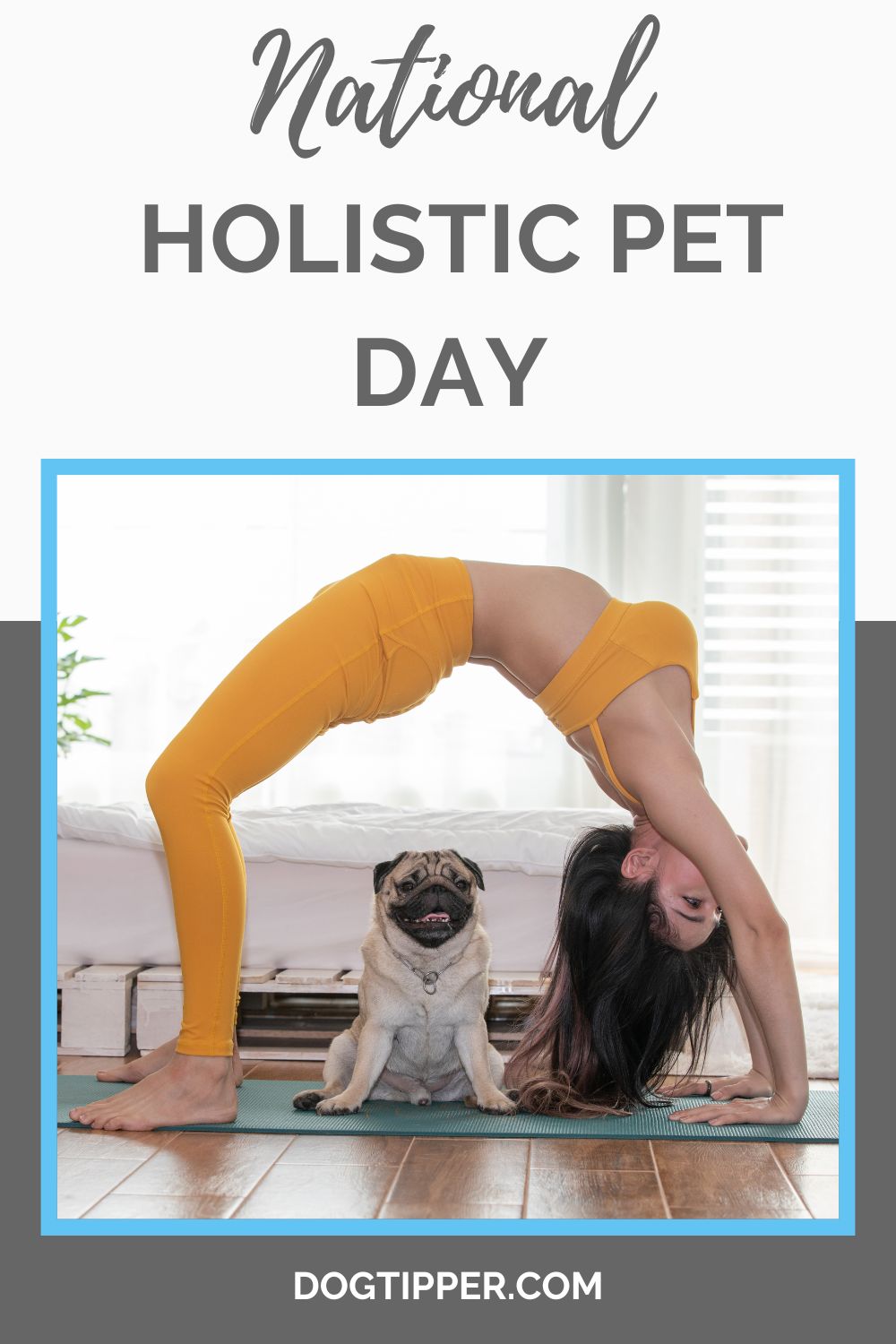 national-holistic-pet-day