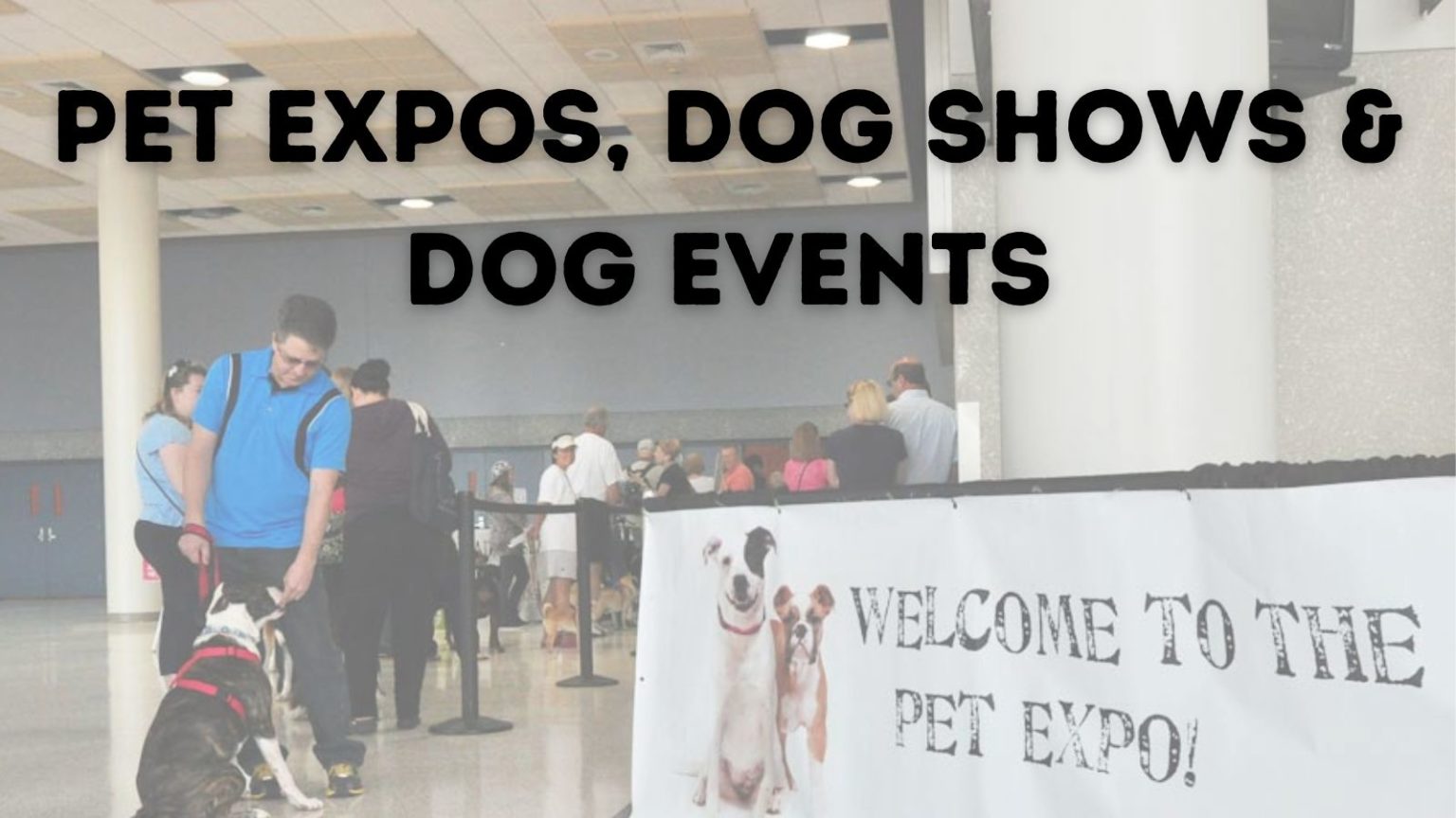 Pet Expos Dog Shows Dog Events 1536x864 