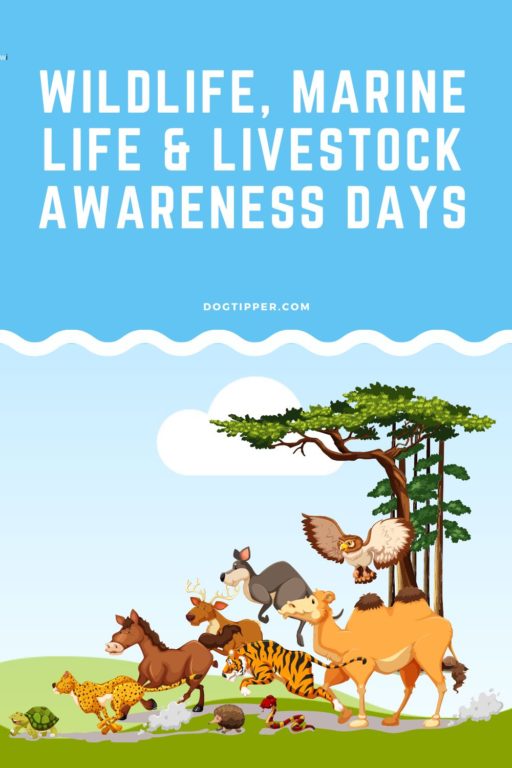 2024 Animal Awareness Days (Horse & Livestock, Wildlife, Marine Life