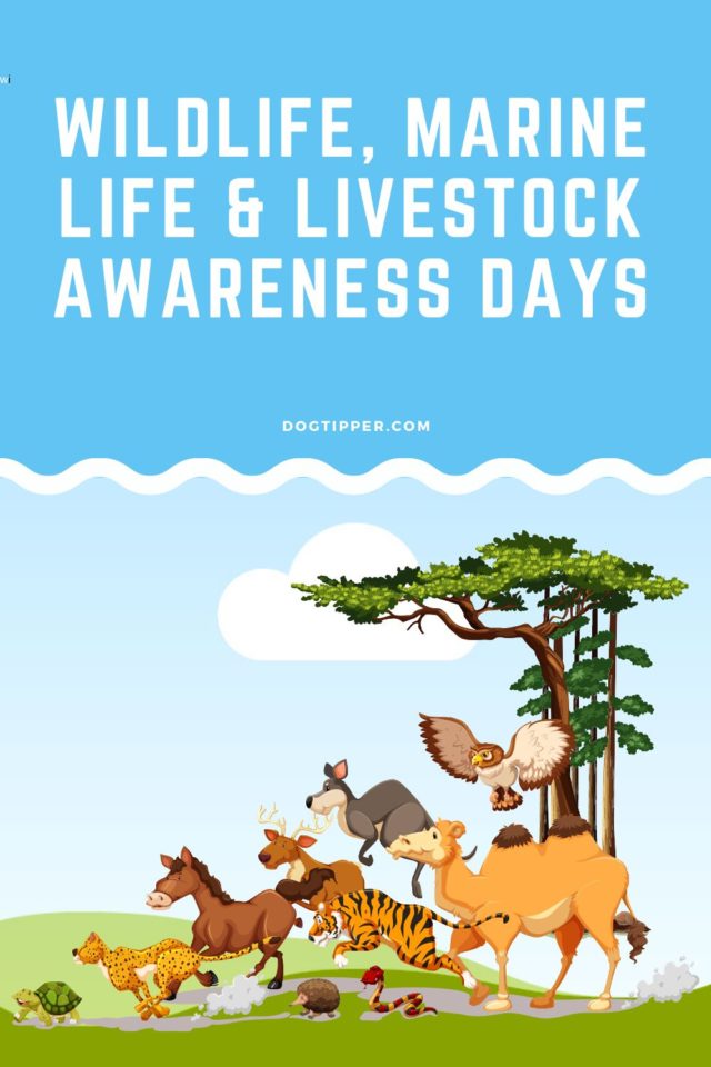 2023 Animal Awareness Day (Horse & Livestock, Wildlife, Marine Life