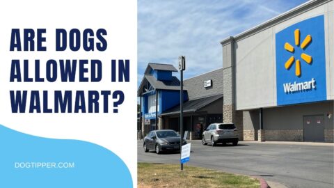 Are Dogs Allowed In Walmart   FEATURED Walmart 480x270 