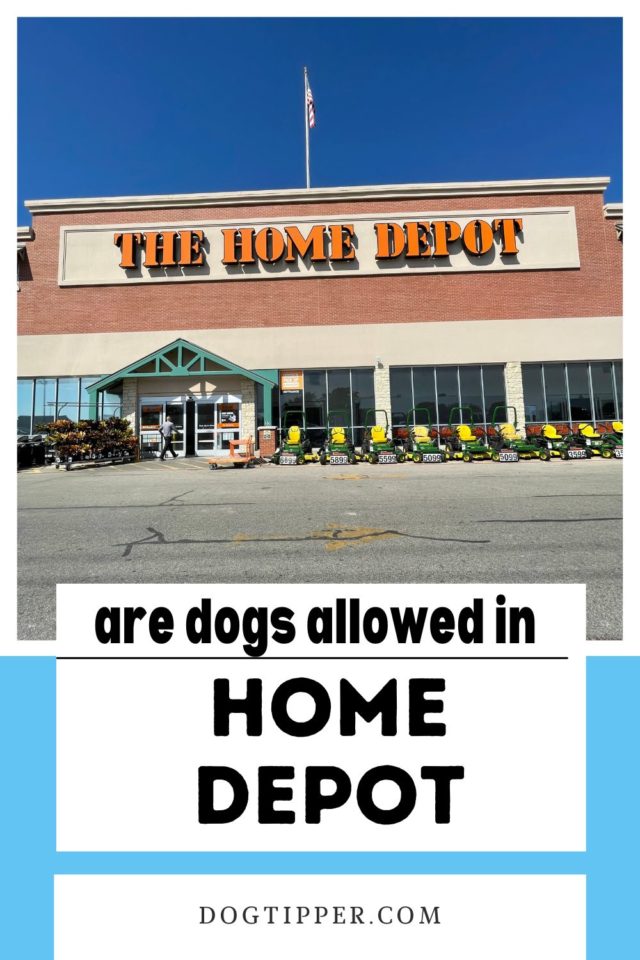 Does Home Depot Allow Dogs?