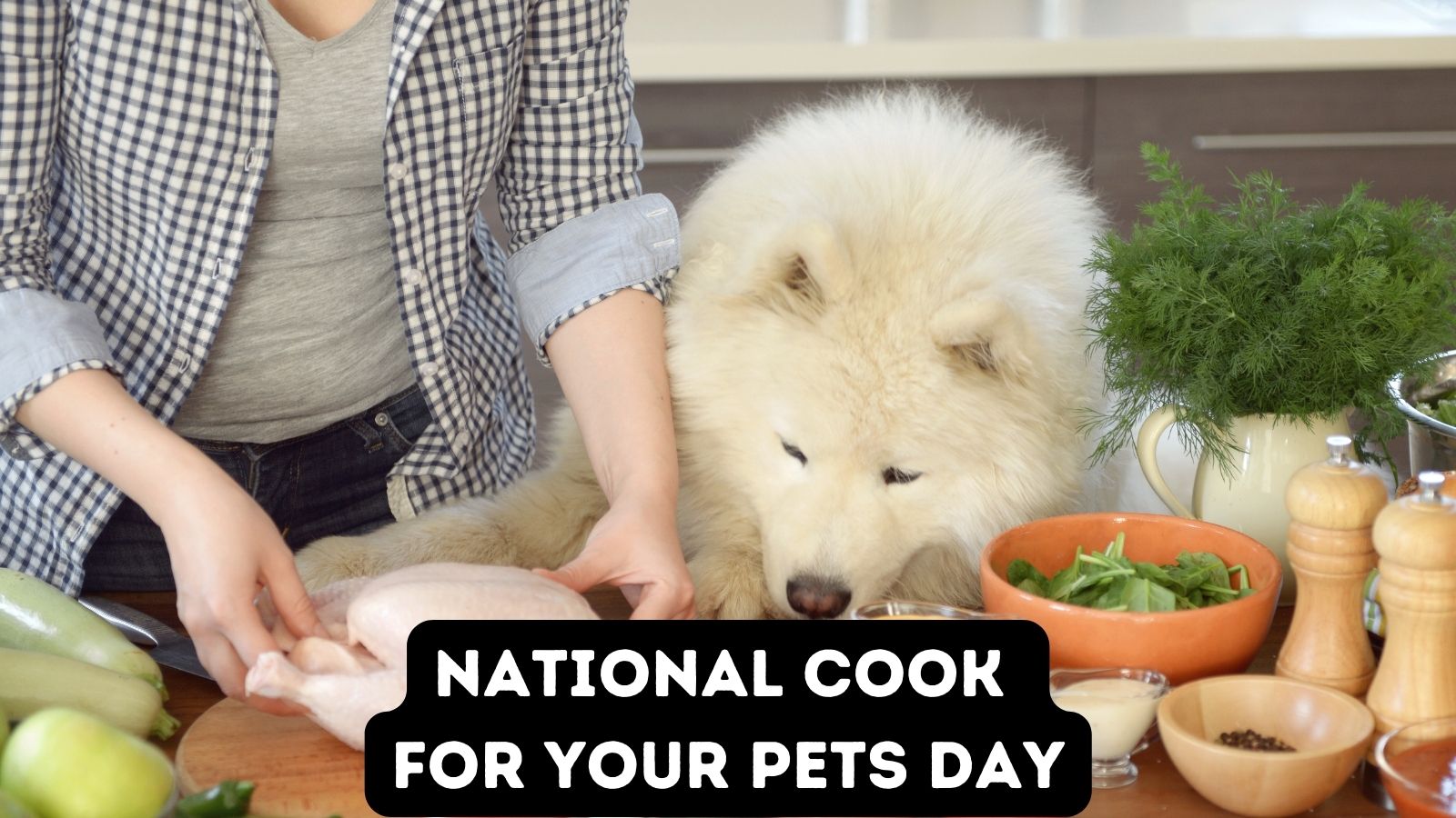 What to clearance cook your dog