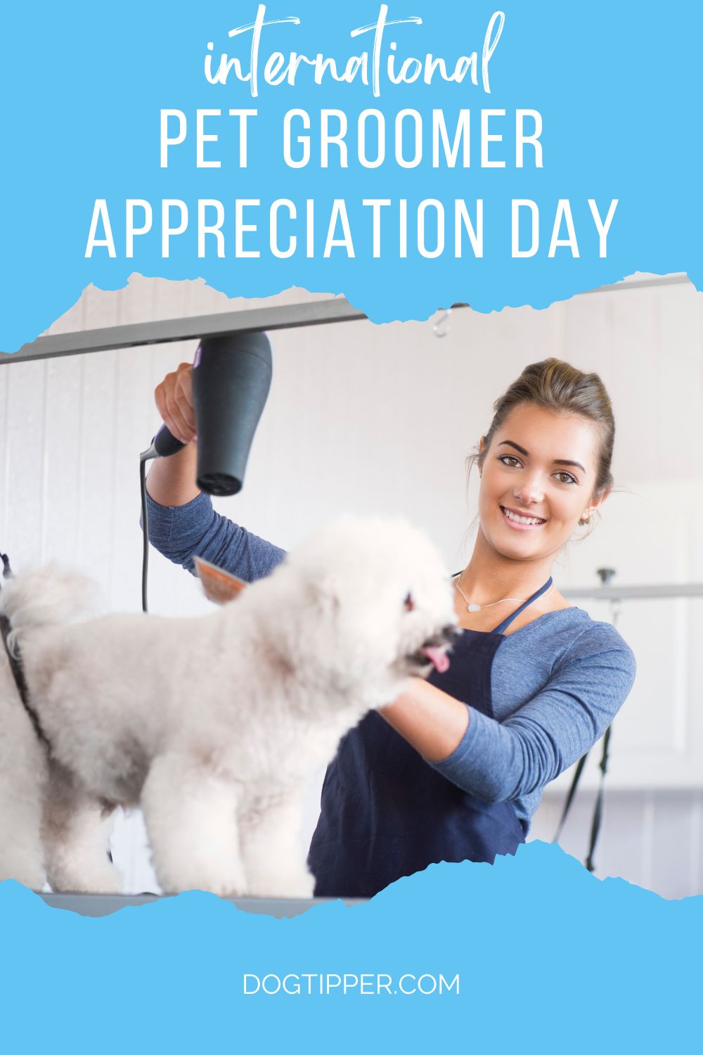 International Pet Groomer Appreciation Day