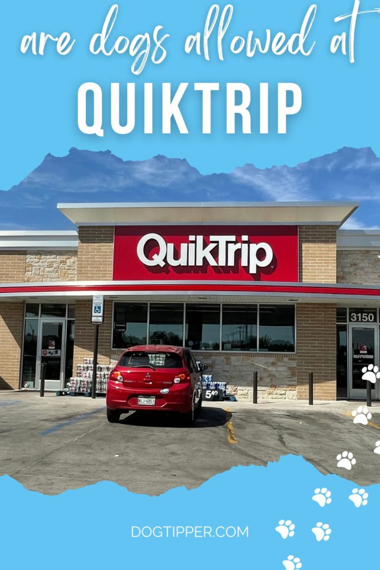 is-quiktrip-dog-friendly