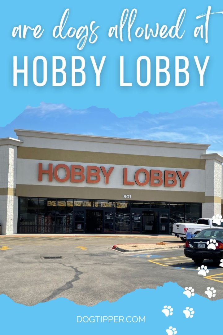 Does Hobby Lobby Allow Dogs?