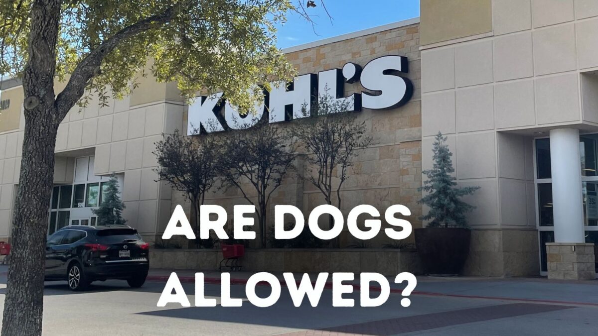 Kohls Pet Friendly