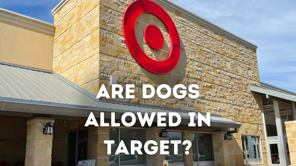 Are Dogs Allowed in Target?