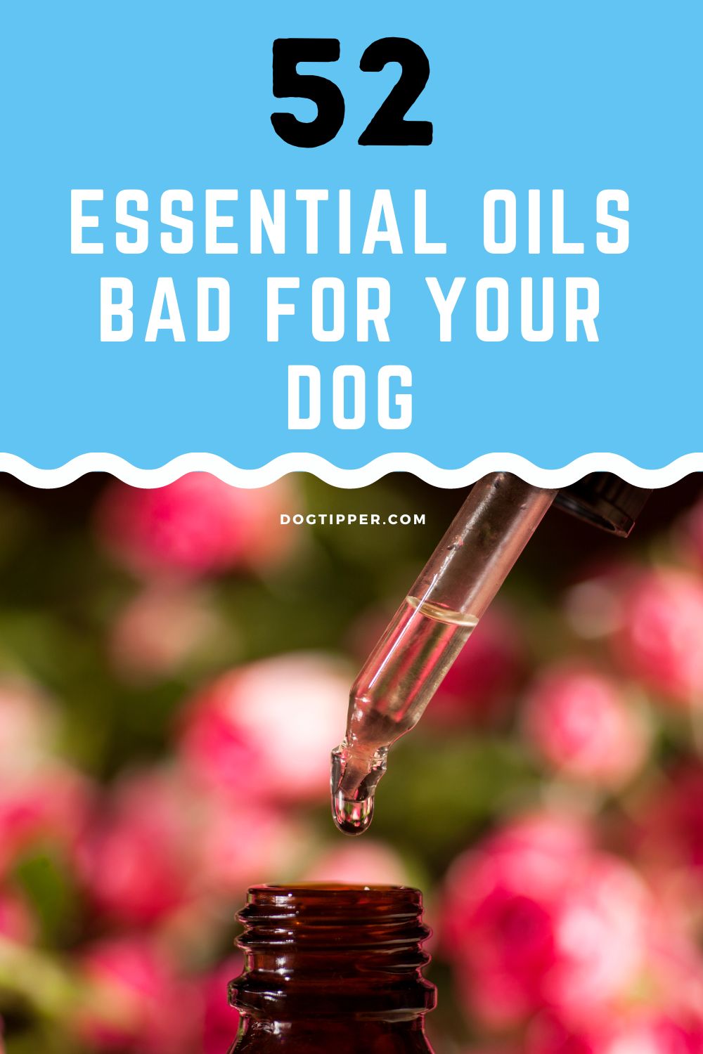 52 Essential Oils Bad for Dogs