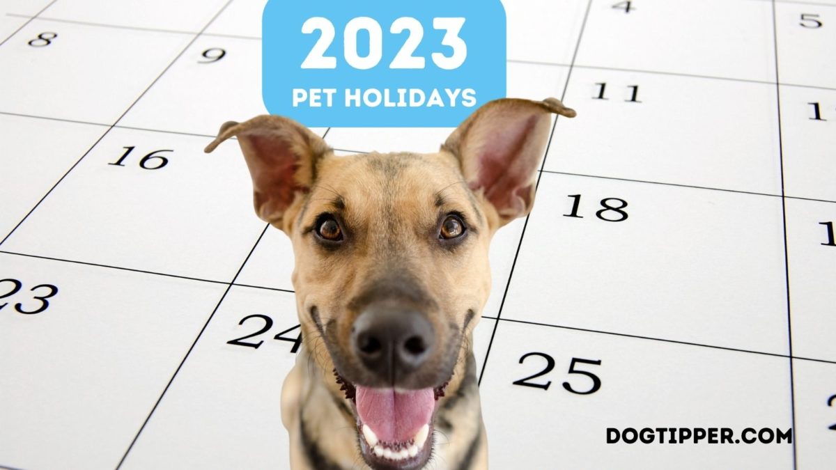 20232024 Pet Holidays and Awareness Days