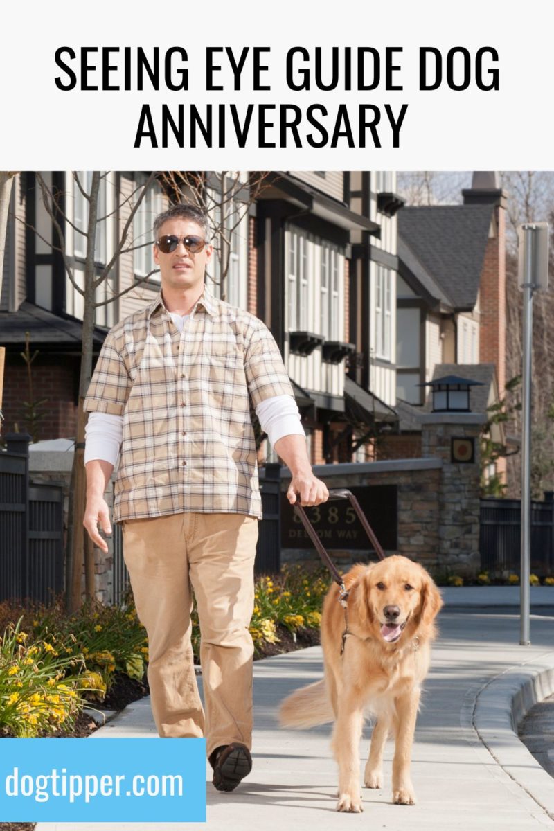 Seeing Eye Guide Dog Anniversary