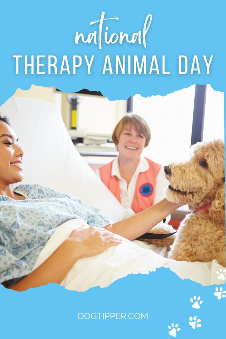 National Therapy Animal Day A Day to Celebrate the Healing Power of Pets