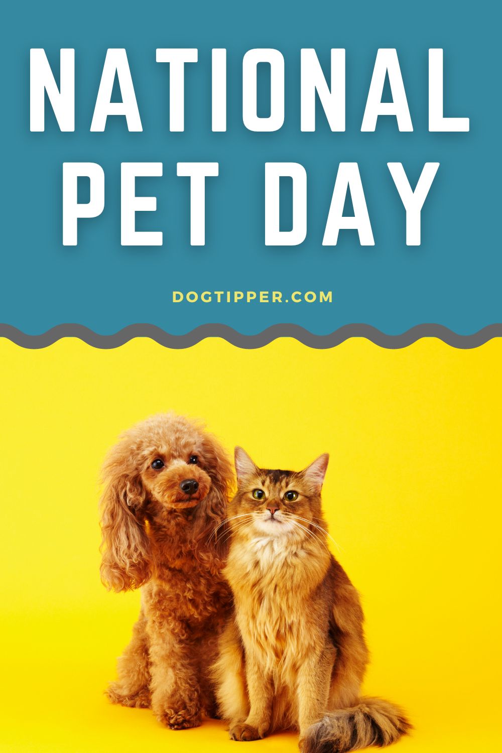 National Pet Day Honoring Their Unconditional Love