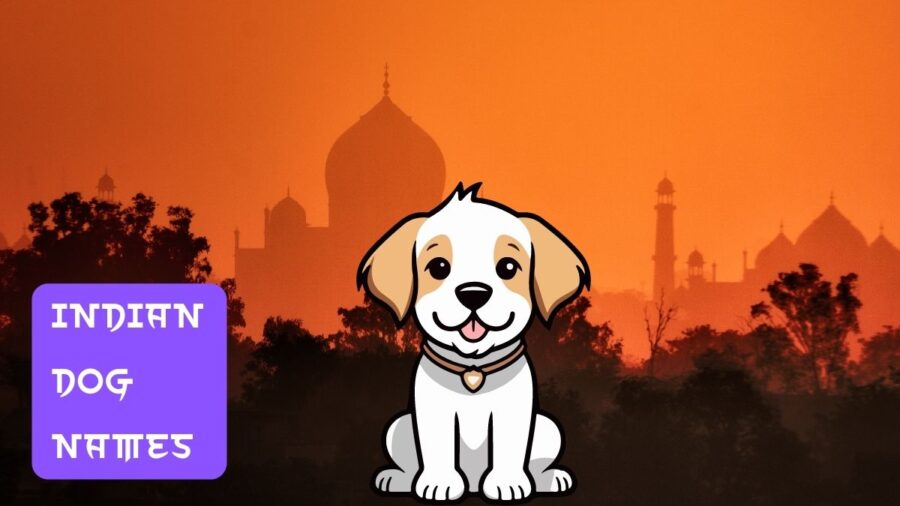 280 Indian Dog Names With Meanings