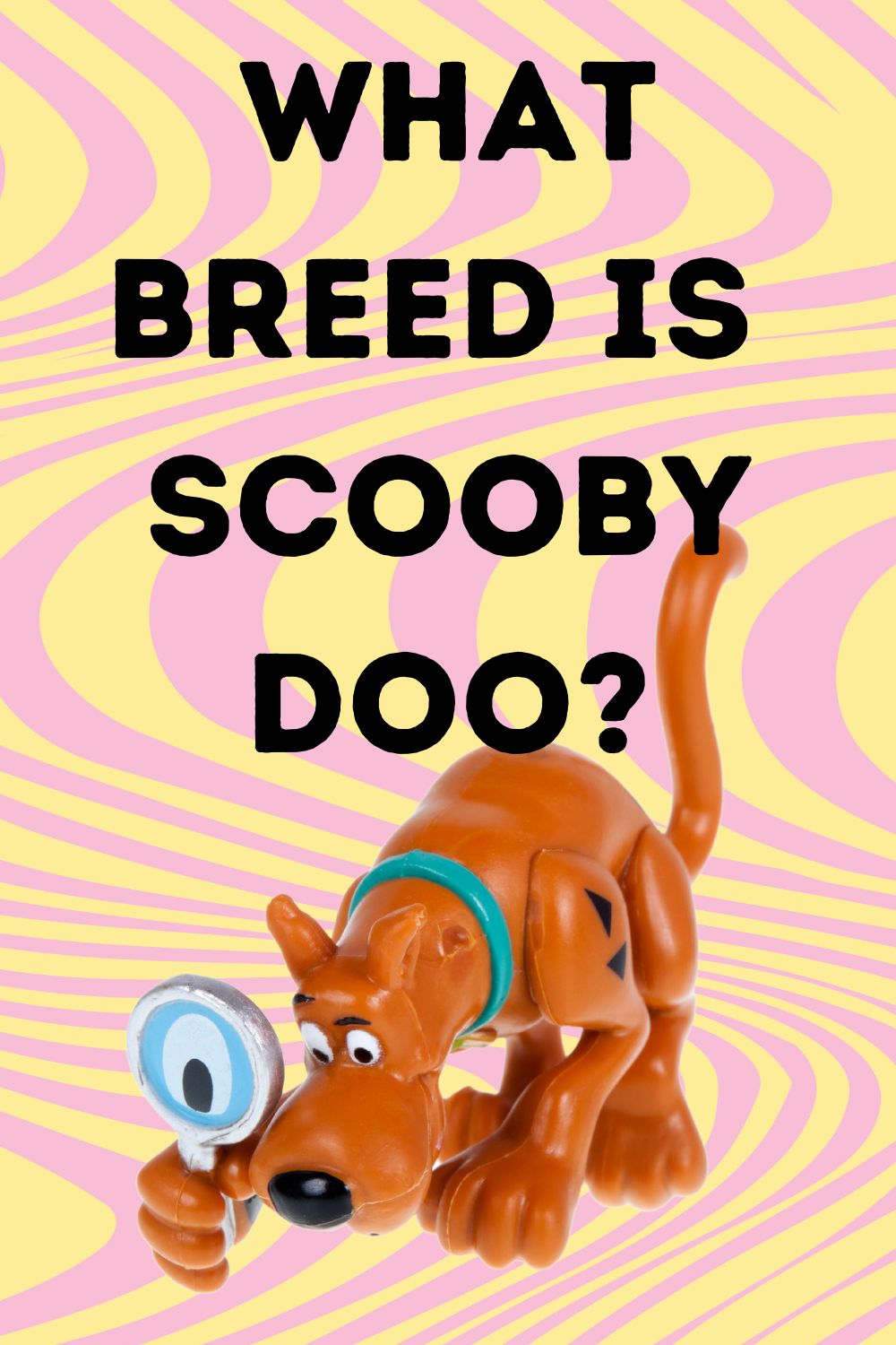 What Breed of Dog Is Scooby-Doo?